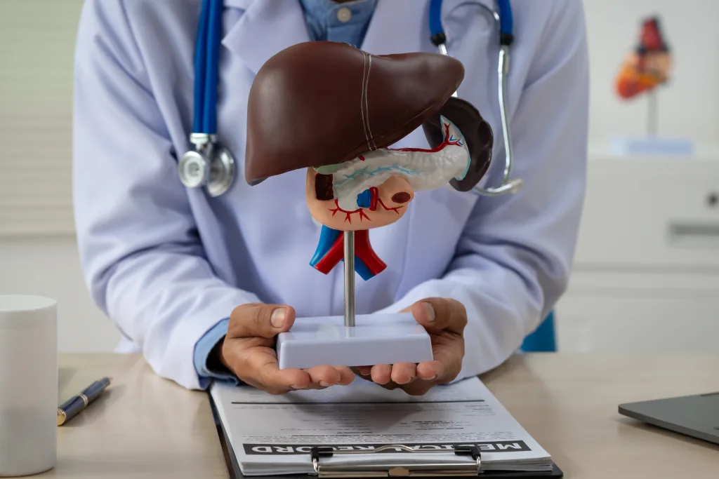 Liver Function Test Birmingham  Book Your Check