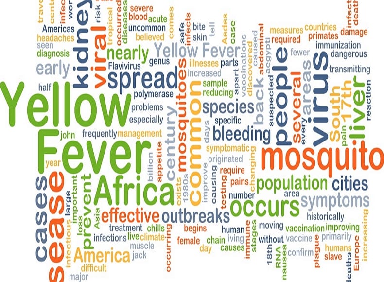 Private GP Birmingham Same day appointments blood tests vaccinations HayFever Injections Mounjaro Injection Open 7 days a week
