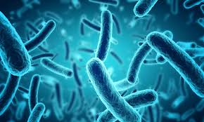 Antibiotic private GP Prescribing Expert Care Private GP Appointment Same day service blood tests vaccinations 7 days a week