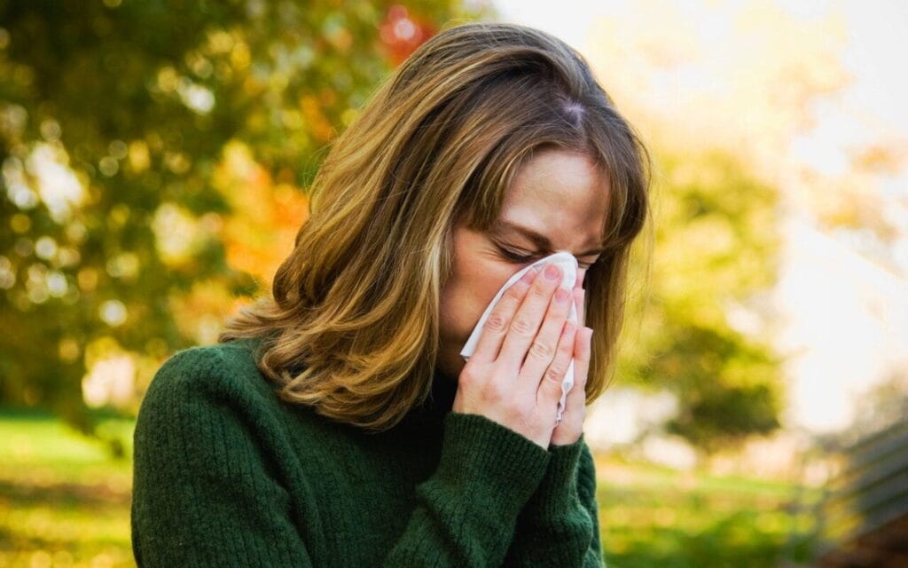 Private GP Hay Fever Same Day Birmingham Allergy test Expert Care Private GP Appointment blood tests vaccinations 7 days a week