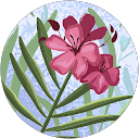 Tinkerbell Faith profile picture